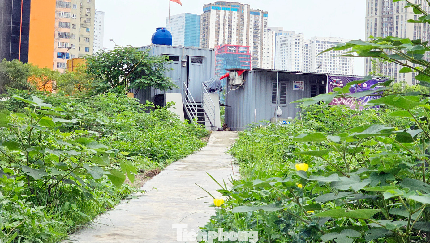 Trao đổi với PV, đại diện UBND phường Trung Hòa cho biết, tại lô đất C3 chủ đầu tư chỉ thay đổi hàng rào tôn mới xung quanh. Hiện dự án vẫn chưa có động thái khởi công xây dựng, bên trong dự án chủ đầu tư để một số thùng container làm nơi ở cho bảo vệ trông coi.