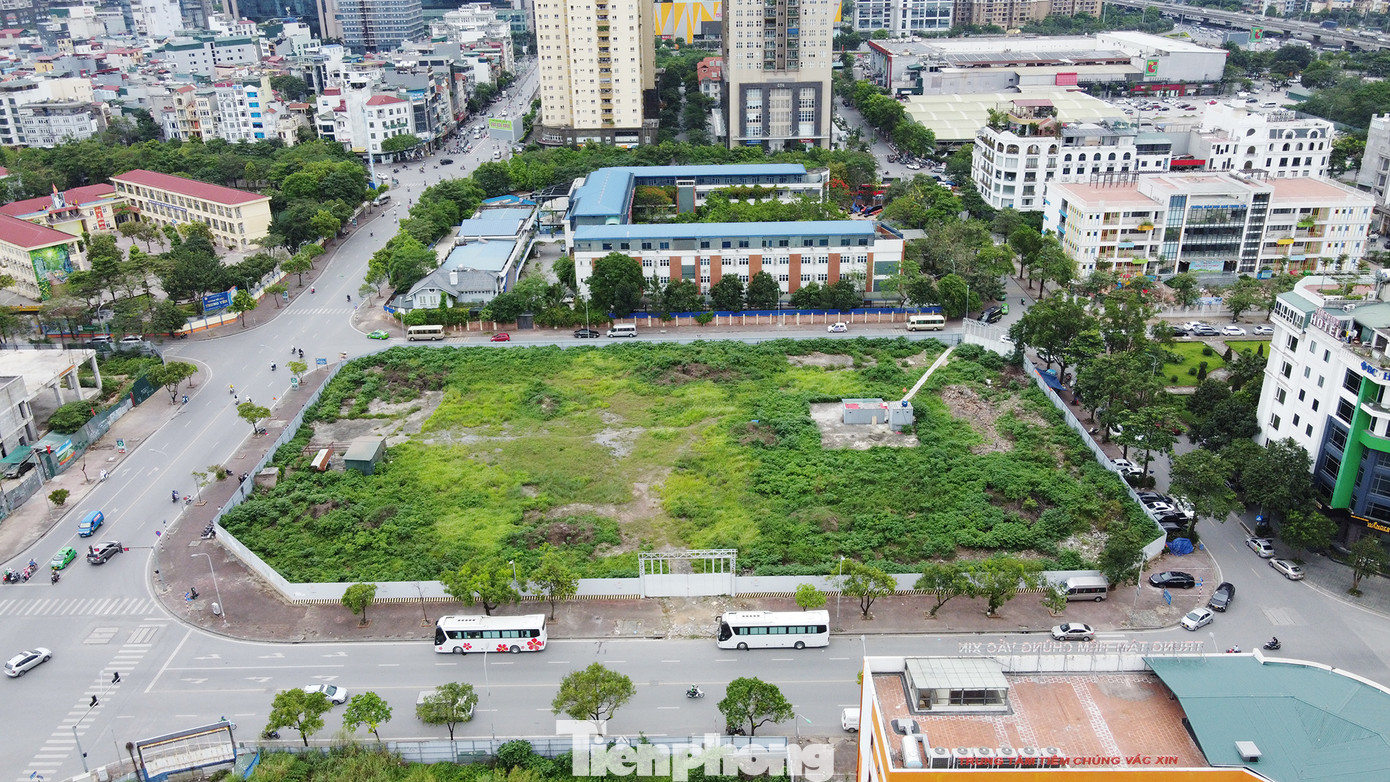 Sau đó, Thanh tra Chính phủ (TTCP) có thông báo kết luận thanh tra đối với dự án tại các khu đất trên. Theo TTCP, tại thời điểm rà soát, dự án vẫn là bãi đất trống, chủ đầu tư là TD Group chưa được giao đất, cho thuê đất để thực hiện các thủ tục đầu tư xây dựng. Công ty đã nộp vào ngân sách hơn 148,5 tỷ đồng, đồng thời Công ty có văn bản đề xuất với UBND TP.Hà Nội giữ nguyên mục tiêu xây dựng các công trình dịch vụ công cộng theo quy hoạch ban đầu dự án được duyệt tại quyết định số 6661 năm 2009 của UBND TP.Hà Nội.