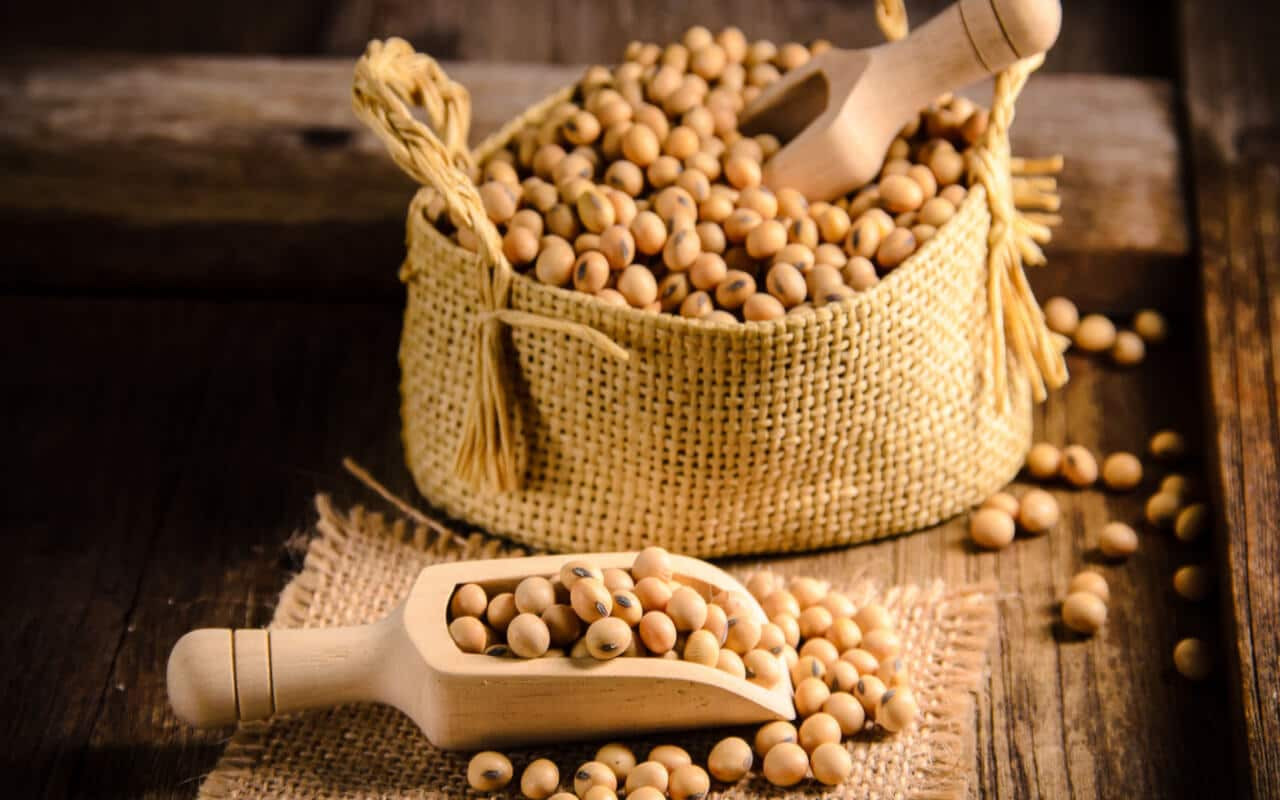 Người da khô nên có thêm đỗ tương trong thực đơn.