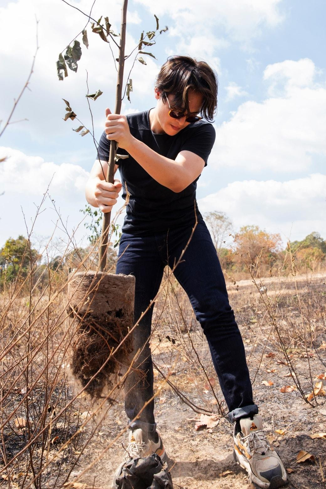 Hà Anh Tuấn tham gia trồng rừng.