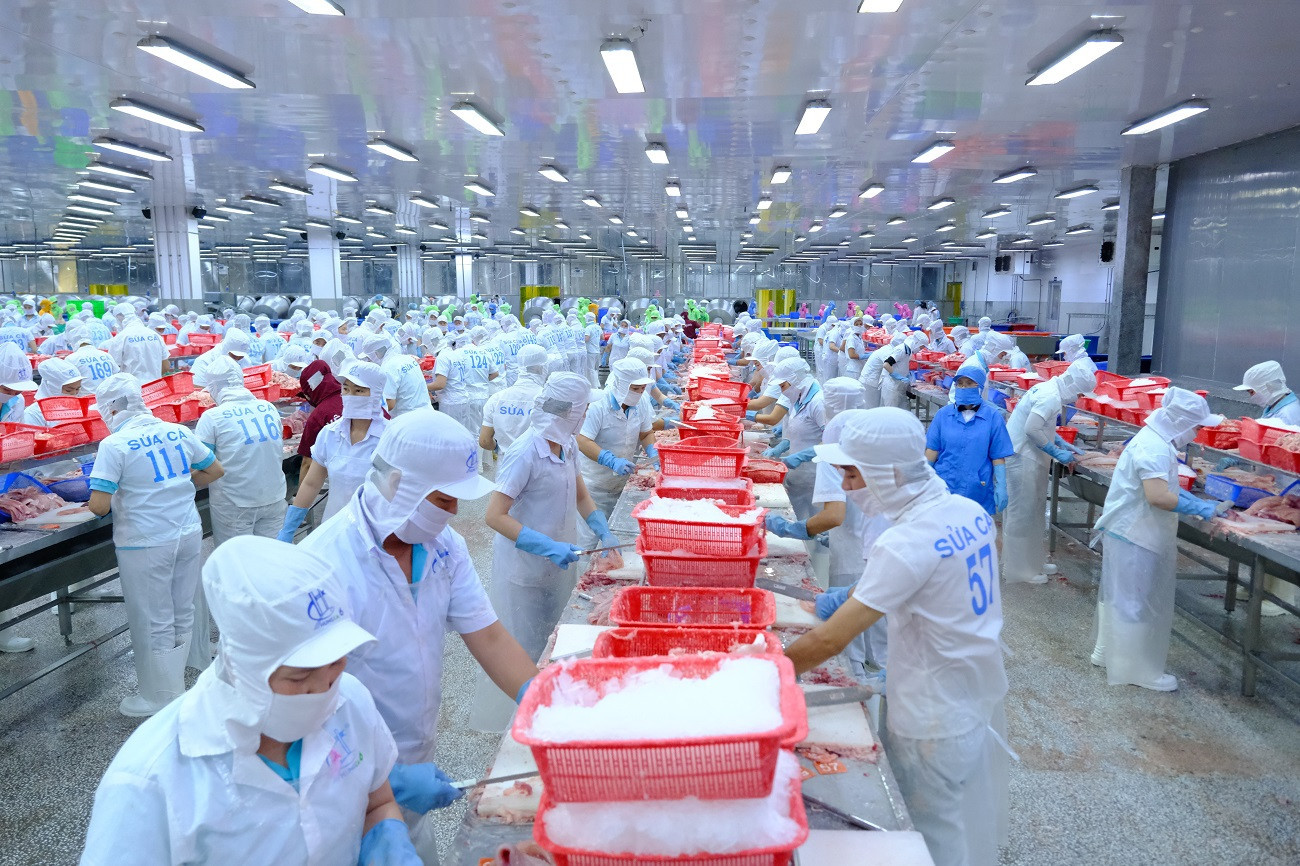 Xuất khẩu thuỷ sản trông chờ những cơ hội mới. Ảnh: Hoàng Hà Xuất khẩu thuỷ sản trông chờ những cơ hội mới. Ảnh: Hoàng Hà