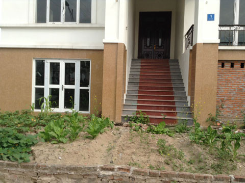 Phần đất trước cửa biệt thự tận dụng để trồng rau xanh cho công nhân