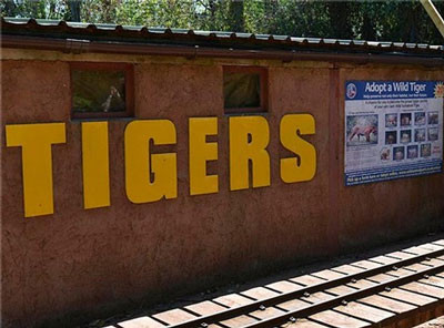 Khu vực chuồng hổ 