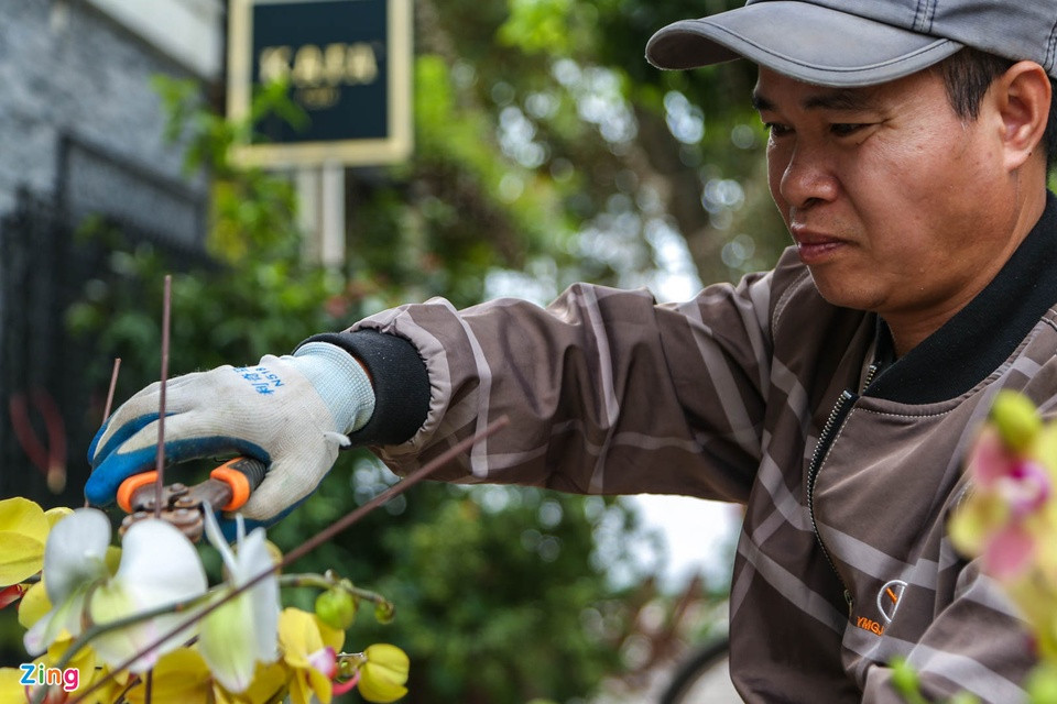 Lan hồ điệp là loài hoa rất dễ bị gãy nên khi cắm cũng đòi hỏi sự khéo léo. Anh Mai cho biết: "Một bầu lan chỉ cần bị gãy một bông hoa, nụ hoặc nhánh thôi thì cả bầu đấy xem như bị lỗi, không thể cung cấp cho khách hàng được nữa”. Lan hồ điệp là loài hoa rất dễ bị gãy nên khi cắm cũng đòi hỏi sự khéo léo. Anh Mai cho biết: "Một bầu lan chỉ cần bị gãy một bông hoa, nụ hoặc nhánh thôi thì cả bầu đấy xem như bị lỗi, không thể cung cấp cho khách hàng được nữa”.