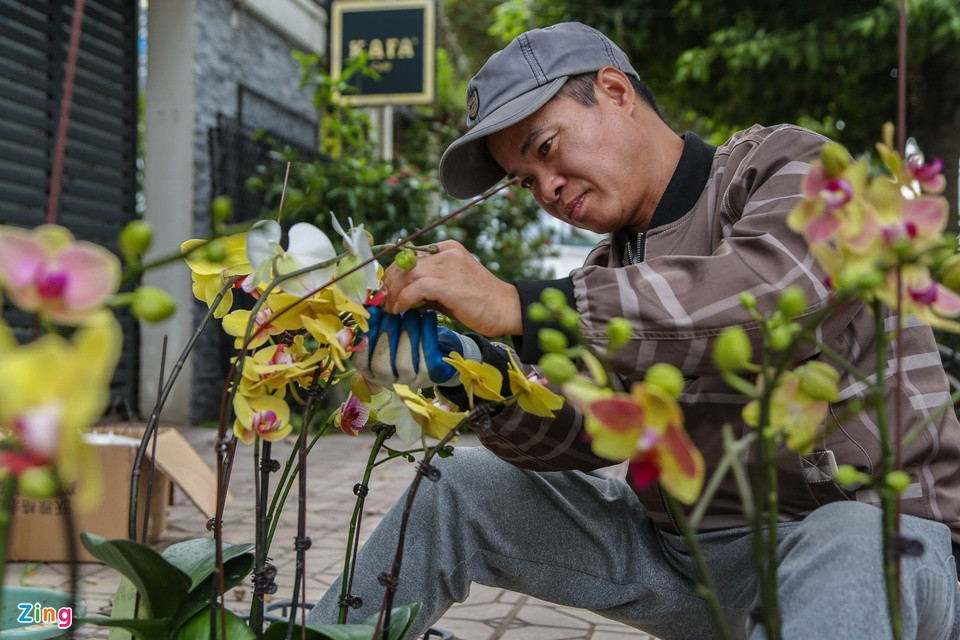 Là người có kinh nghiệm 6 năm trong lĩnh vực ghép lan hồ điệp, anh Nguyễn Đức Mai (quê Bắc Ninh) cho biết: "Chỉ tính riêng trong hai tháng 11 và 12 âm lịch, tôi đã ghép được khoảng 3.000 bầu hoa lan hồ điệp, có những ngày tôi phải ngồi làm đến 20 tiếng mới kịp hoàn thiện đơn hàng". Với mức tiền công trung bình từ 15.000-30.000 đồng/bầu, anh bỏ túi gần 60 triệu đồng tiền công. Là người có kinh nghiệm 6 năm trong lĩnh vực ghép lan hồ điệp, anh Nguyễn Đức Mai (quê Bắc Ninh) cho biết: "Chỉ tính riêng trong hai tháng 11 và 12 âm lịch, tôi đã ghép được khoảng 3.000 bầu hoa lan hồ điệp, có những ngày tôi phải ngồi làm đến 20 tiếng mới kịp hoàn thiện đơn hàng". Với mức tiền công trung bình từ 15.000-30.000 đồng/bầu, anh bỏ túi gần 60 triệu đồng tiền công.