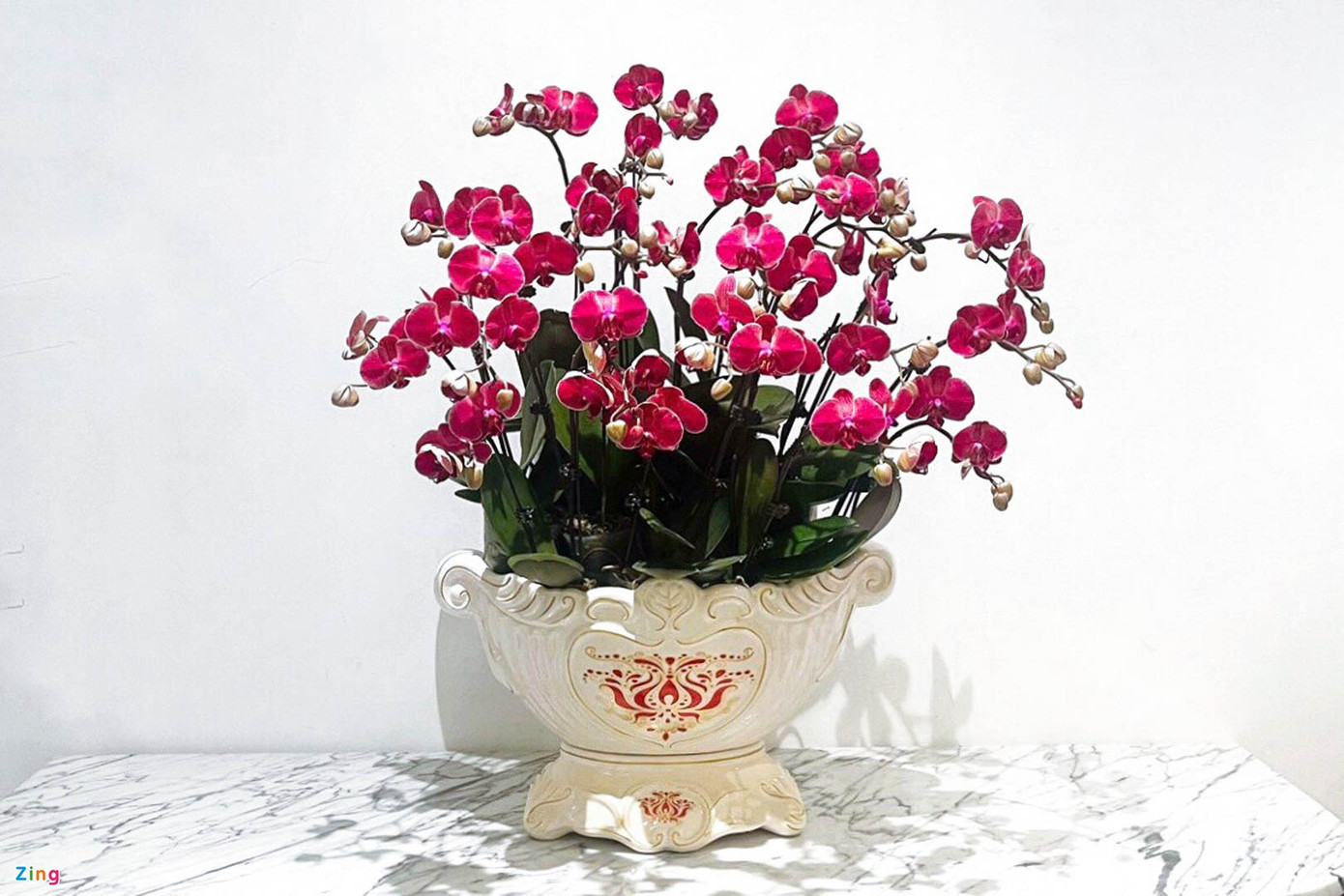 Đối với anh Mai, dịp Tết Nguyên đán là khoảng thời gian quý báu và đầy cơ hội để rèn luyện tay nghề, tiếp thu nhiều kinh nghiệm về lĩnh vực lan hồ điệp: “Tôi chủ yếu chỉ được ghép hoa lan nhiều vào dịp Tết, còn ngày thường do khách ít chơi nên tôi chỉ ghép các loại hoa khác”. Đối với anh Mai, dịp Tết Nguyên đán là khoảng thời gian quý báu và đầy cơ hội để rèn luyện tay nghề, tiếp thu nhiều kinh nghiệm về lĩnh vực lan hồ điệp: “Tôi chủ yếu chỉ được ghép hoa lan nhiều vào dịp Tết, còn ngày thường do khách ít chơi nên tôi chỉ ghép các loại hoa khác”.