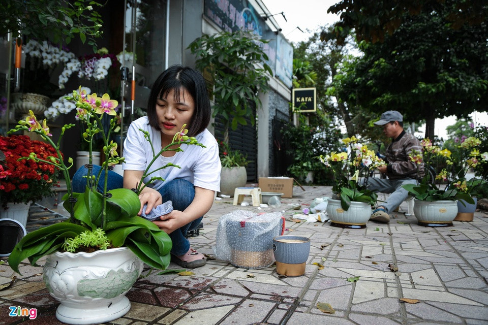 Tùy vào sở thích của khách hàng, một chậu lan có thể thêm nhiều tiểu cảnh bằng việc kết hợp đa dạng loại cây khác. Tuy nhiên, hoa lan là loại cây chỉ ưa độ ẩm vừa phải nên trước khi trao tay đến tay khách, nhân viên chăm sóc hoa phải lau chùi cẩn thận, sạch sẽ ngay sau khi xịt nước. Thợ cắm hoa đồng thời cũng phải kiểm tra lại chậu hoa một lần nữa để tránh tình trạng hoa bị xê dịch, từ đó điều chỉnh lại sao cho phù hợp. Tùy vào sở thích của khách hàng, một chậu lan có thể thêm nhiều tiểu cảnh bằng việc kết hợp đa dạng loại cây khác. Tuy nhiên, hoa lan là loại cây chỉ ưa độ ẩm vừa phải nên trước khi trao tay đến tay khách, nhân viên chăm sóc hoa phải lau chùi cẩn thận, sạch sẽ ngay sau khi xịt nước. Thợ cắm hoa đồng thời cũng phải kiểm tra lại chậu hoa một lần nữa để tránh tình trạng hoa bị xê dịch, từ đó điều chỉnh lại sao cho phù hợp.