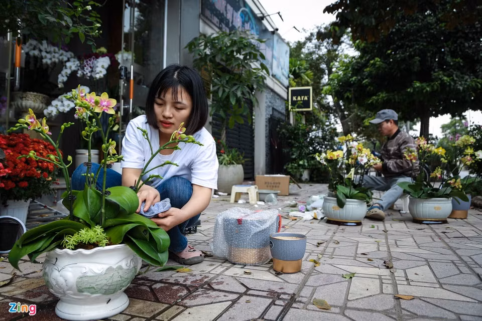 Tùy vào sở thích của khách hàng, một chậu lan có thể thêm nhiều tiểu cảnh bằng việc kết hợp đa dạng loại cây khác. Tuy nhiên, hoa lan là loại cây chỉ ưa độ ẩm vừa phải nên trước khi trao tay đến tay khách, nhân viên chăm sóc hoa phải lau chùi cẩn thận, sạch sẽ ngay sau khi xịt nước. Thợ cắm hoa đồng thời cũng phải kiểm tra lại chậu hoa một lần nữa để tránh tình trạng hoa bị xê dịch, từ đó điều chỉnh lại sao cho phù hợp. Tùy vào sở thích của khách hàng, một chậu lan có thể thêm nhiều tiểu cảnh bằng việc kết hợp đa dạng loại cây khác. Tuy nhiên, hoa lan là loại cây chỉ ưa độ ẩm vừa phải nên trước khi trao tay đến tay khách, nhân viên chăm sóc hoa phải lau chùi cẩn thận, sạch sẽ ngay sau khi xịt nước. Thợ cắm hoa đồng thời cũng phải kiểm tra lại chậu hoa một lần nữa để tránh tình trạng hoa bị xê dịch, từ đó điều chỉnh lại sao cho phù hợp.