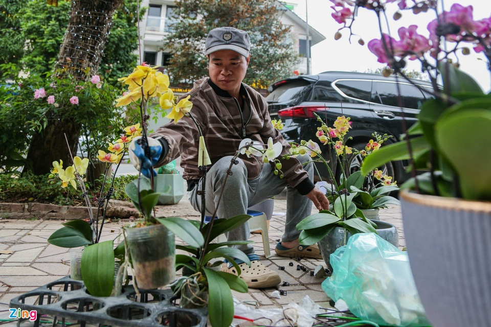Một bầu lan đạt chuẩn để có thể sử dụng là bầu phải có nhiều hoa và nụ, lá phải xanh, mướt. Toàn bầu đều phải tươi, không xảy ra tình trạng bị dập, nát hoặc héo. Một bầu lan đạt chuẩn để có thể sử dụng là bầu phải có nhiều hoa và nụ, lá phải xanh, mướt. Toàn bầu đều phải tươi, không xảy ra tình trạng bị dập, nát hoặc héo.