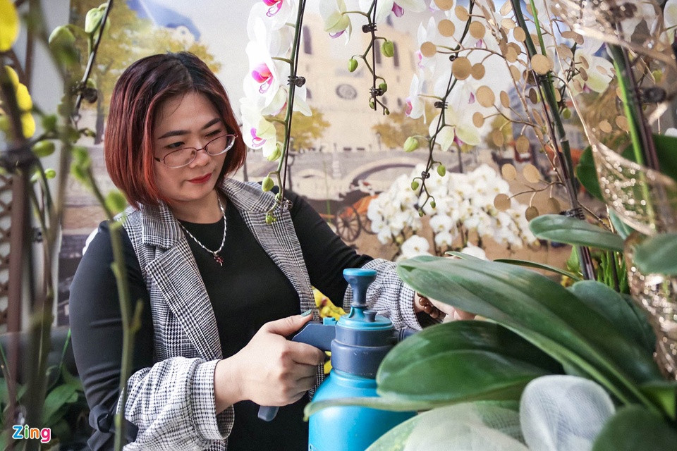 Với chị Lê Thị Thu Hằng (huyện Gia Lâm), việc giữ chân thợ cắm lan hồ điệp tăng ca làm việc trong dịp cận Tết là điều tối quan trọng. "Đợt cao điểm làm hàng Tết, tôi phải huy động đến 30 nhân viên làm việc, trong đó chỉ có 9 thợ phụ trách cắm hoa". Với chị Lê Thị Thu Hằng (huyện Gia Lâm), việc giữ chân thợ cắm lan hồ điệp tăng ca làm việc trong dịp cận Tết là điều tối quan trọng. "Đợt cao điểm làm hàng Tết, tôi phải huy động đến 30 nhân viên làm việc, trong đó chỉ có 9 thợ phụ trách cắm hoa".