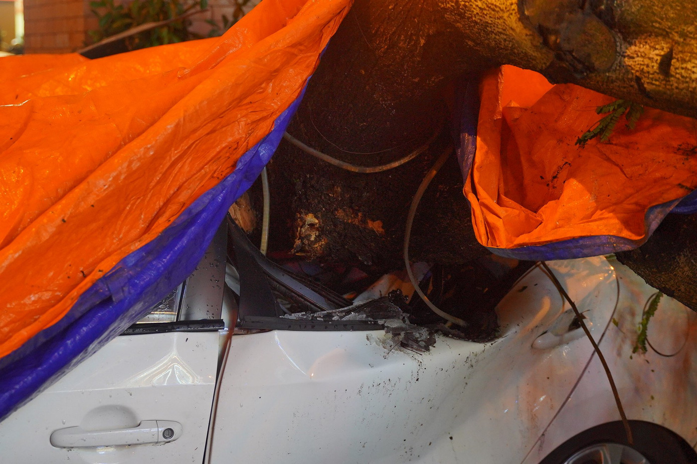 Hai chiếc ô tô hư hỏng nặng sau khi bị cây đè ngang thân xe.