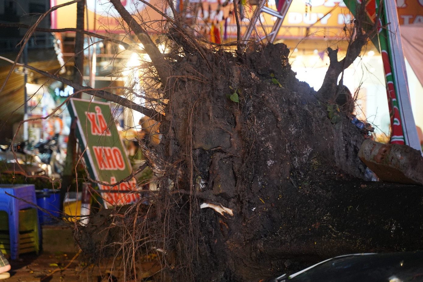 Cây xanh bật gốc, đổ vào các hàng quán vỉa hè.