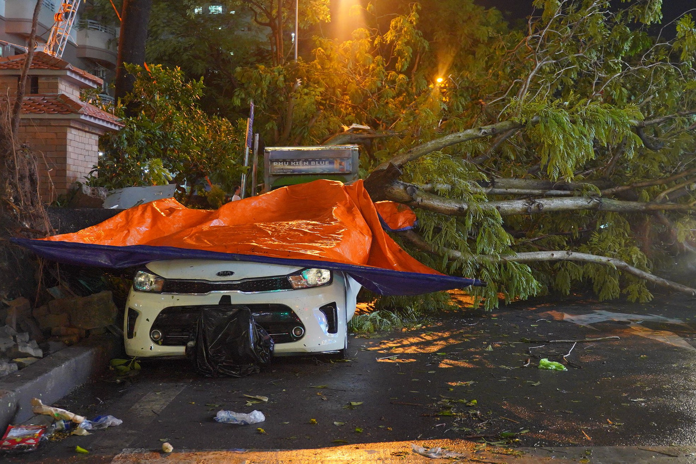 Hai chiếc ô tô hư hỏng nặng sau khi bị cây đè ngang thân xe.