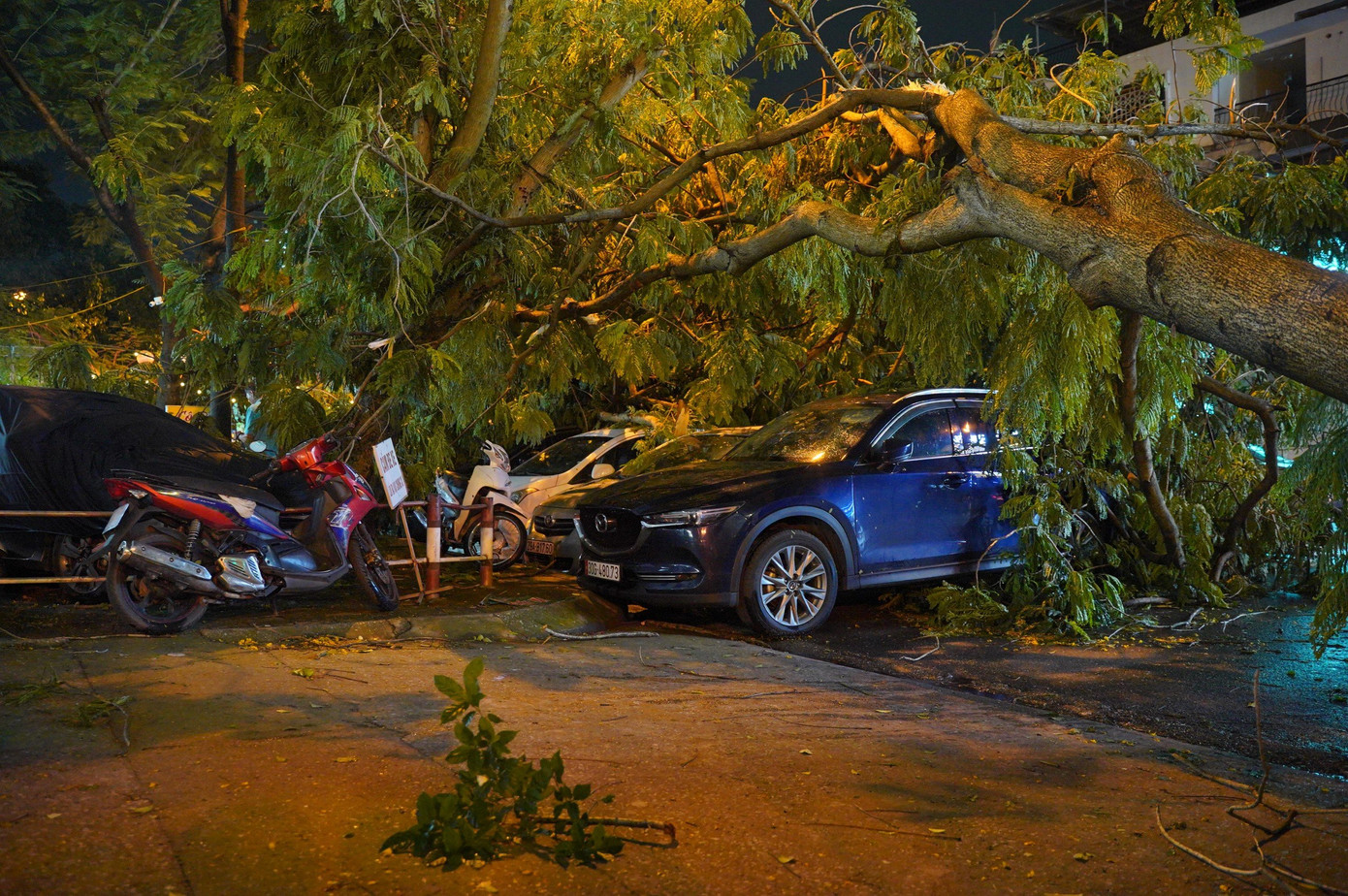 Hàng loạt ô tô dừng đỗ trên vỉa hè bị cây đè bẹp.
