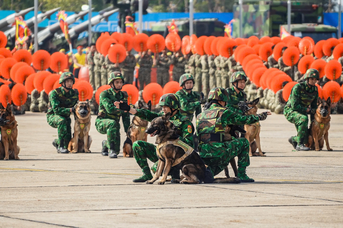 Quân khuyển thể hiện kỹ năng tại lễ khai mạc.