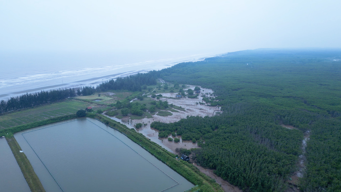 Nhằm bảo vệ và phát triển hệ thống rừng ngập mặn ven biển, ngày 4/10/2021, Thủ tướng Chính phủ đã phê duyệt Đề án bảo vệ và phát triển rừng vùng ven biển nhằm ứng phó với biến đổi khí hậu và thúc đẩy tăng trưởng xanh giai đoạn 2021-2030.