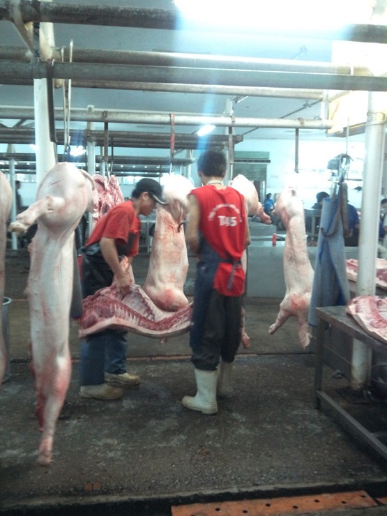 Trung bình mỗi đêm, chợ Hóc Môn cung cấp cho thị trường khoảng 5.000 con heo