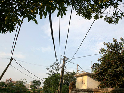 Ảnh minh họa từ Internet