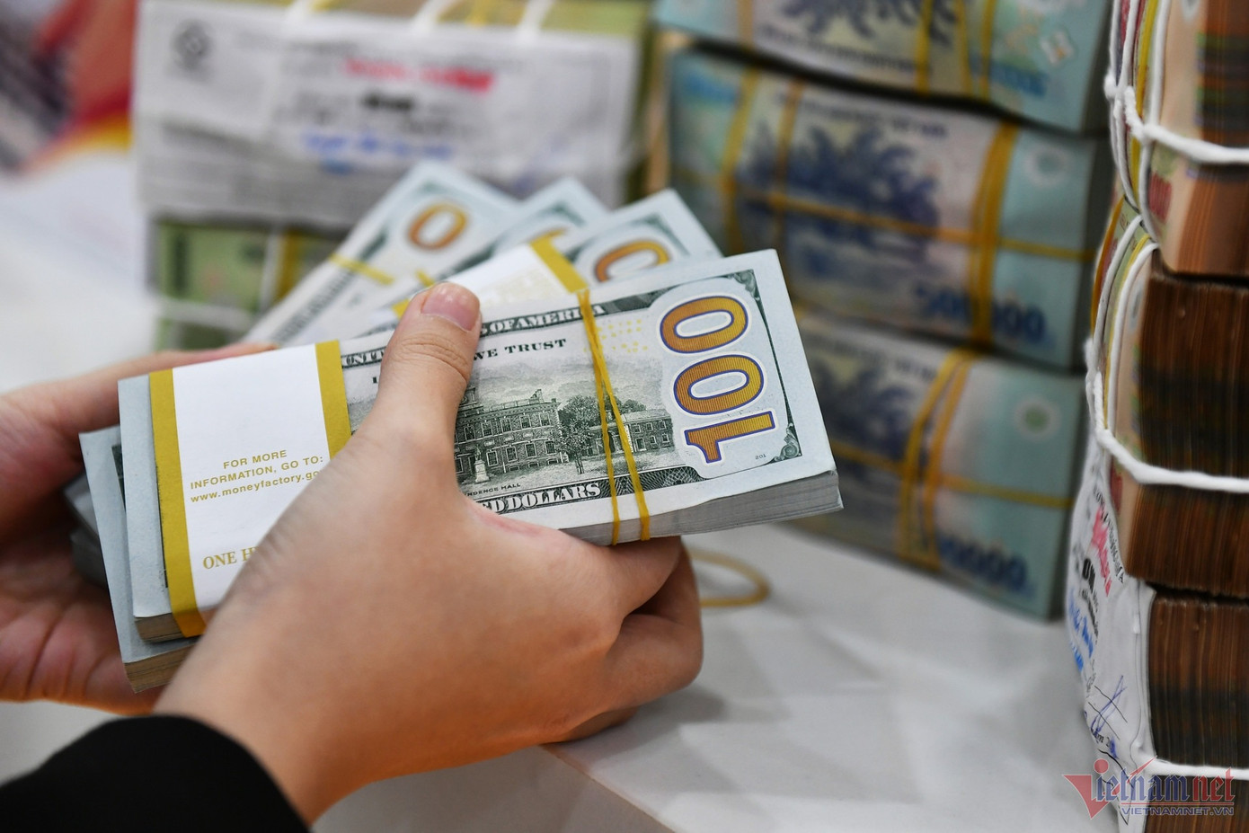 Ảnh minh họa: Hoàng Hà.