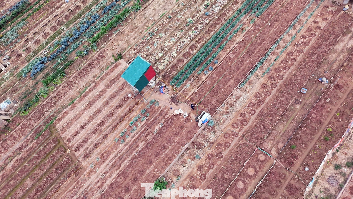 Người làm vườn tại Nhật Tân đã tất bật "hồi sinh" vườn đào của mình ngay sau kỳ nghỉ lễ vừa qua. Người làm vườn tại Nhật Tân đã tất bật "hồi sinh" vườn đào của mình ngay sau kỳ nghỉ lễ vừa qua.