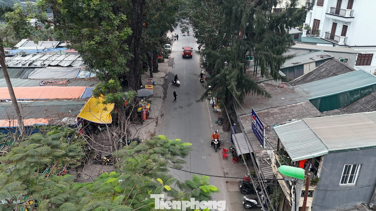 Với tổng chiều dài tuyến là 1,260km; điểm đầu dự án từ khu biệt thự Tây Hồ, điểm cuối tại vị trí giao cắt với đường Xuân Diệu (vừa được chỉnh trang mở rộng và đưa vào hoạt động trong thời gian qua).