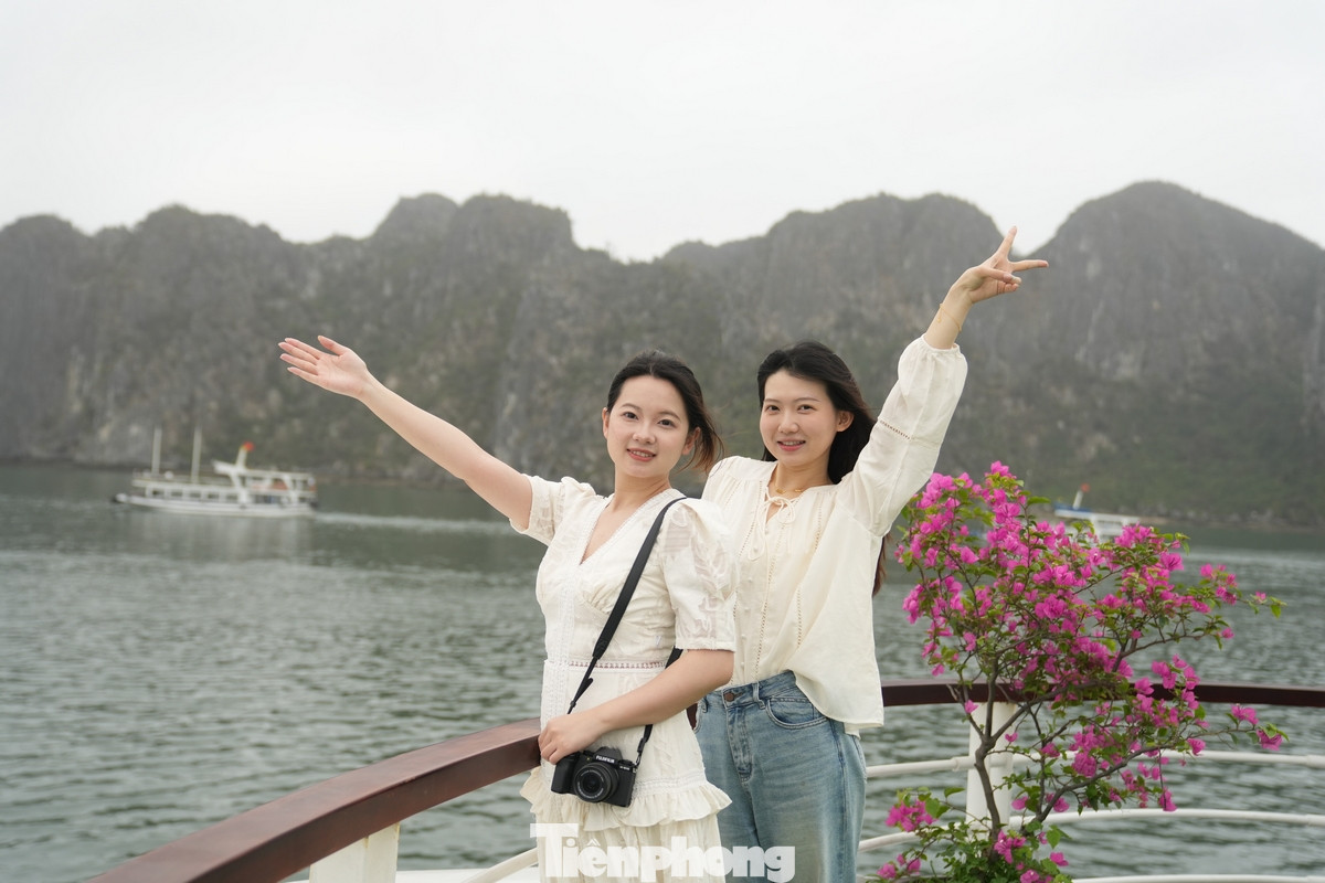 Đến với Vịnh Hạ Long dịp này, bạn Trần Tửu Lượng (bên phải ảnh) - học viên tại Đại học Hồ Nam, Trung Quốc bày tỏ sự choáng ngợp trước vẻ đẹp hùng vĩ của di sản thiên nhiên thế giới. Tửu Lượng cho biết, cô từng là sinh viên chuyên ngành tiếng Việt, và hiện tại đang là học viên Thạc sĩ ngành Truyền thông. Vì vậy, cô bạn rất quan tâm và muốn tìm hiểu về văn hóa và danh lam thắng cảnh của Việt Nam. “Vịnh Hạ Long thật đẹp và hùng vĩ, không khí rất trong lành. Nơi đây cho tôi cảm giác được hòa mình với thiên nhiên”, bạn Trần Tửu Lượng cảm nhận.