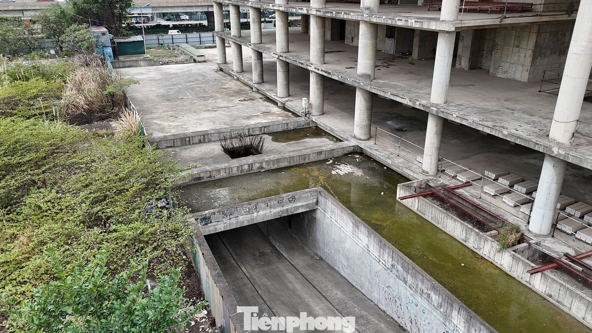 Ngày 6/12/2018, Thanh tra Bộ Xây dựng có Kết luận thanh tra số 552 thể hiện: “Vicem có sai phạm trong việc lựa chọn đơn vị tư vấn giám sát thiếu kinh nghiệm, chậm tiến độ các hợp đồng, giảm hiệu quả quản lý vốn Nhà nước. Đến ngày 31/12/2017, Vicem đã thanh toán và tạm ứng cho dự án số tiền 1.226,4 tỷ đồng. Ngày 30/05/2018, Bộ Xây dựng đã có văn bản số 1285 chỉ đạo Vicem lập phương án xử lý Trung tâm giao dịch điều hành; thuê đơn vị tư vấn định giá dự án làm cơ sở để Bộ Xây dựng xem xét, quyết định. Tuy nhiên, đến thời điểm thanh tra, Vicem chưa có phương án trình Bộ Xây dựng”.