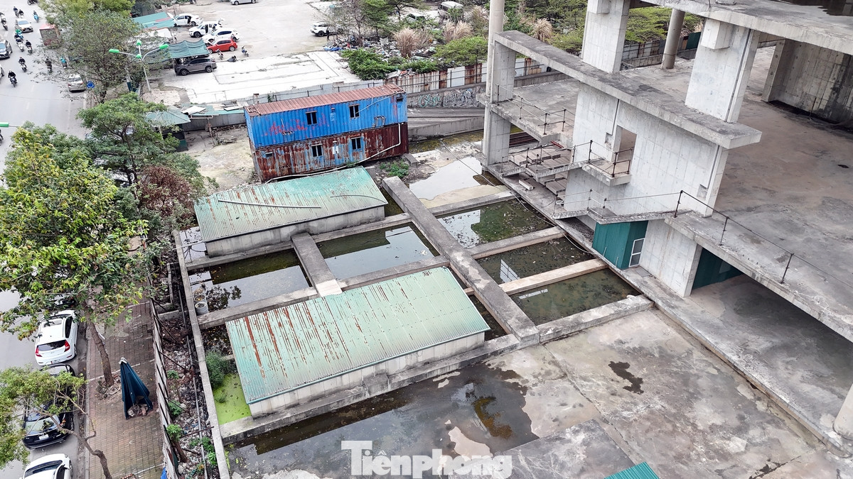 Ngày 6/12/2018, Thanh tra Bộ Xây dựng có Kết luận thanh tra số 552 thể hiện: “Vicem có sai phạm trong việc lựa chọn đơn vị tư vấn giám sát thiếu kinh nghiệm, chậm tiến độ các hợp đồng, giảm hiệu quả quản lý vốn Nhà nước. Đến ngày 31/12/2017, Vicem đã thanh toán và tạm ứng cho dự án số tiền 1.226,4 tỷ đồng. Ngày 30/05/2018, Bộ Xây dựng đã có văn bản số 1285 chỉ đạo Vicem lập phương án xử lý Trung tâm giao dịch điều hành; thuê đơn vị tư vấn định giá dự án làm cơ sở để Bộ Xây dựng xem xét, quyết định. Tuy nhiên, đến thời điểm thanh tra, Vicem chưa có phương án trình Bộ Xây dựng”.