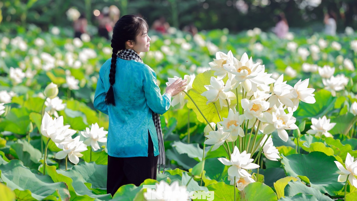 Rất nhiều bạn trẻ đã về đây chụp hình check-in, đầu tư nhiều trang phục như áo yếm, áo bà ba Nam Bộ...