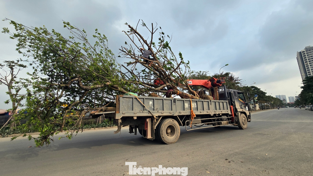 Khi hoàn thành, công viên Gia Lâm góp phần tạo cảnh quan môi trường, nâng cao điều kiện tiện nghi, góp phần phát triển toàn diện thể chất và tinh thần cho người dân khu vực.