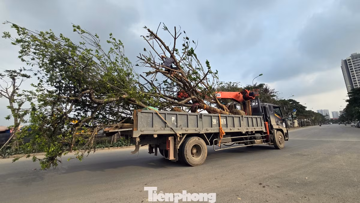 Khi hoàn thành, công viên Gia Lâm góp phần tạo cảnh quan môi trường, nâng cao điều kiện tiện nghi, góp phần phát triển toàn diện thể chất và tinh thần cho người dân khu vực.
