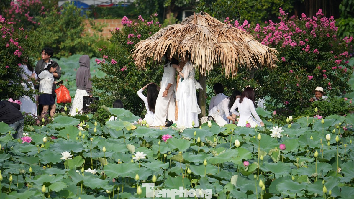 Các "nàng thơ" phải núp dưới những chòi mái lá để tránh nắng, chờ đợi đến lượt ra chụp ảnh.