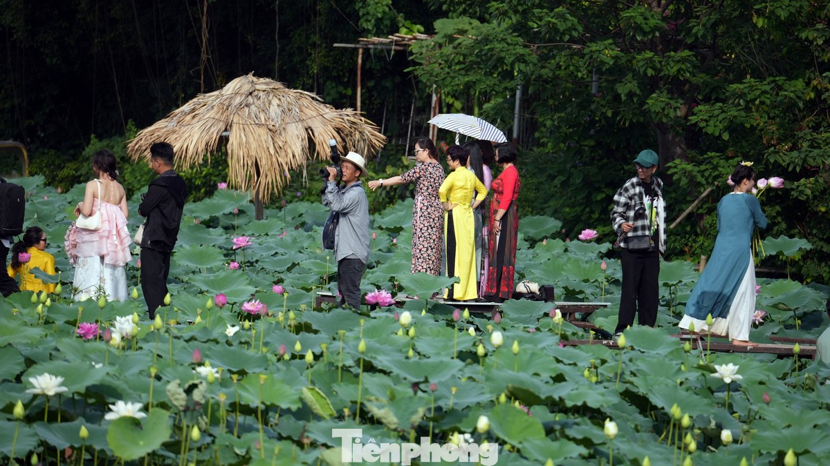 Có những thời điểm nhiều người phải xếp hàng đợi đến lượt vào những địa điểm đẹp trên hồ sen để chụp hình.