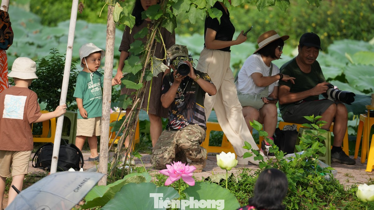 Các nhiếp ảnh gia "hoạt động hết mình" dưới thời tiết nắng nóng gần 40 độ của mùa hè Hà Nội.