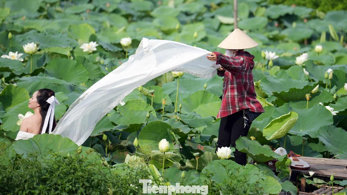 Ngoài thợ chụp hình, những "trợ lý" luôn sẵn sàng phục vụ khách để có những khoảnh khắc đẹp nhất bên hồ sen.