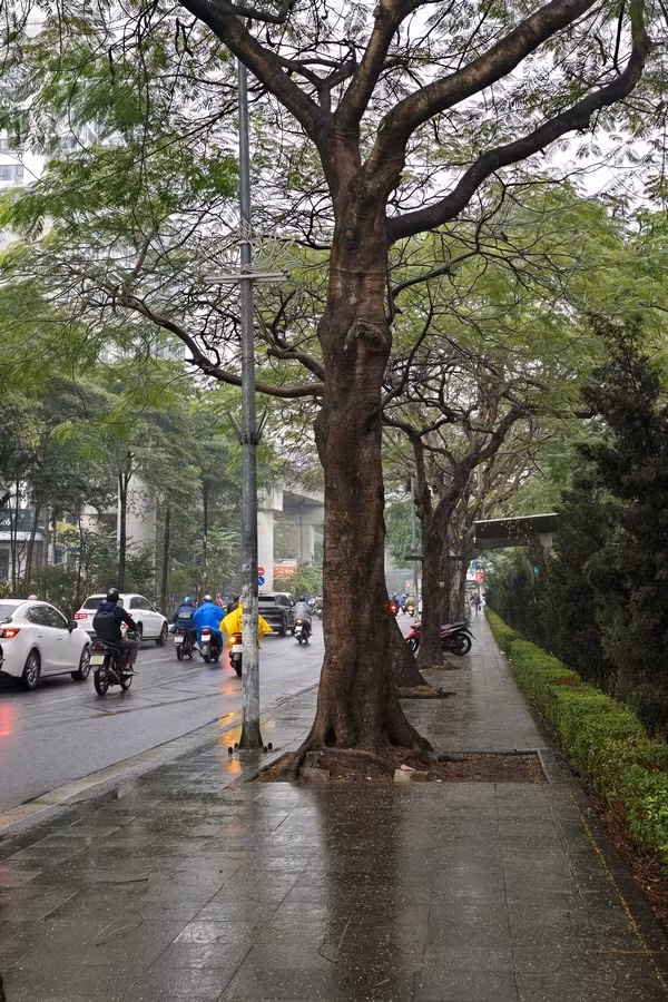 Thời tiết này sẽ giúp cải thiện chất lượng không khí.