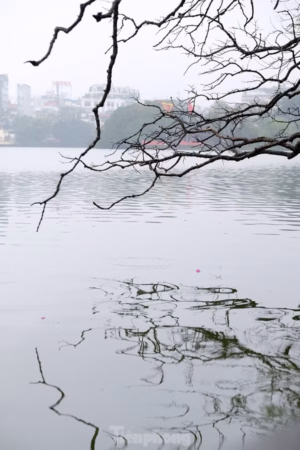 Thời tiết này sẽ giúp cải thiện chất lượng không khí.