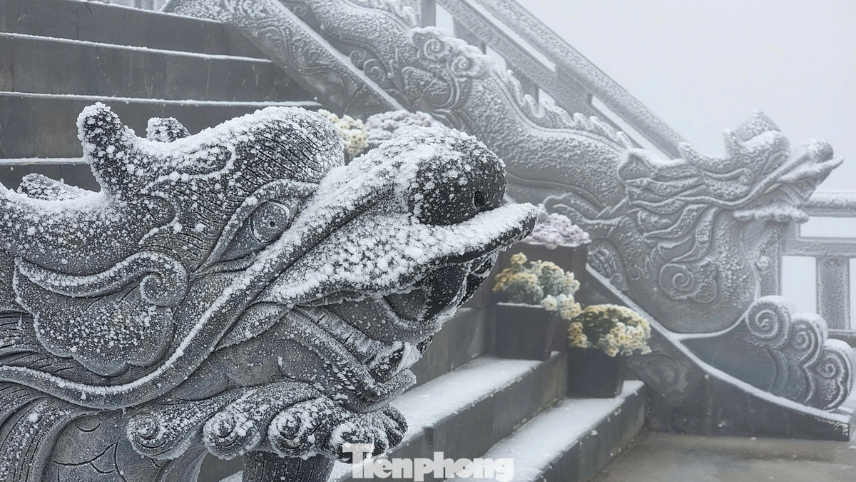 "Chúng tôi đã phải chuẩn bị rất kỹ lưỡng để đối phó với thời tiết lạnh và băng tuyết. Tuy nhiên, cảnh tượng tuyệt đẹp tại đỉnh Fansipan đã khiến chúng tôi quên đi tất cả khó khăn," chia sẻ của anh Nguyễn Văn Bách - một du khách đến từ TPHCM.