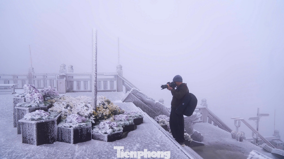 Các nhiếp ảnh gia tranh thủ ngày nghỉ Tết đi săn ảnh tuyết tại Fansipan. Cảnh tượng băng tuyết tại đỉnh Fansipan đã thu hút nhiều du khách đến thăm. Tuy nhiên, thời tiết lạnh và băng tuyết cũng đã gây ra một số khó khăn cho các du khách.