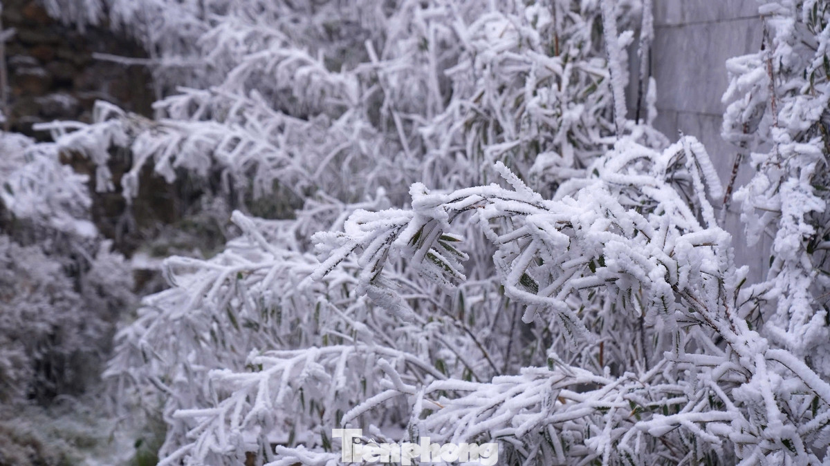 Băng tuyết xuất hiện tại một số địa điểm ở miền núi phía Bắc. Ảnh: HMT.