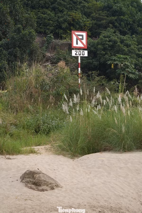 Tình trạng cạn trơ đáy gây hại cho hệ sinh thái sông Hồng.