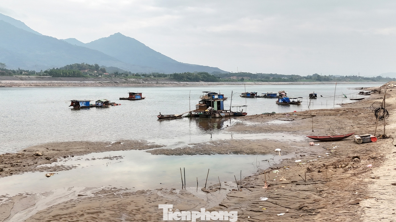 Hiện tượng biến đổi khí hậu và xây dựng các công trình thủy điện đã giảm lượng nước đổ vào sông.