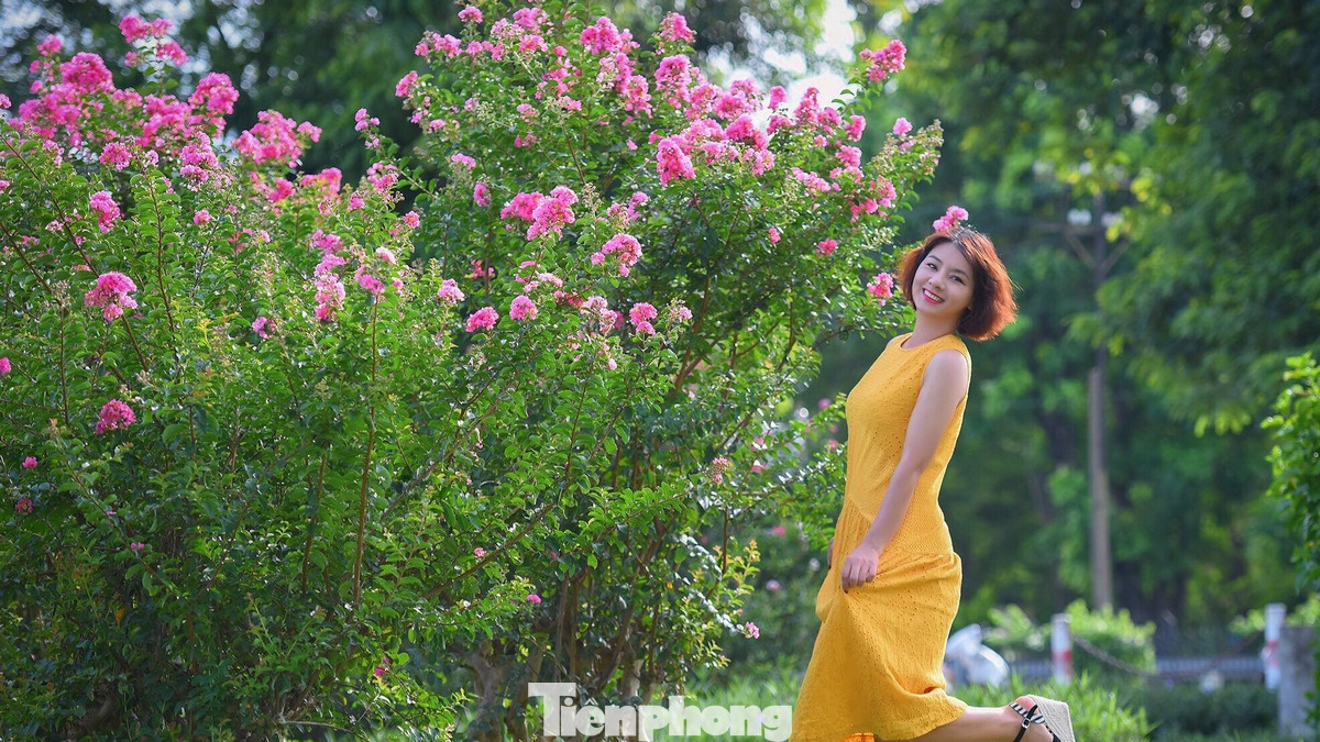 Các bạn trẻ thích thú chụp ảnh lưu niệm cùng hoa tường vi.