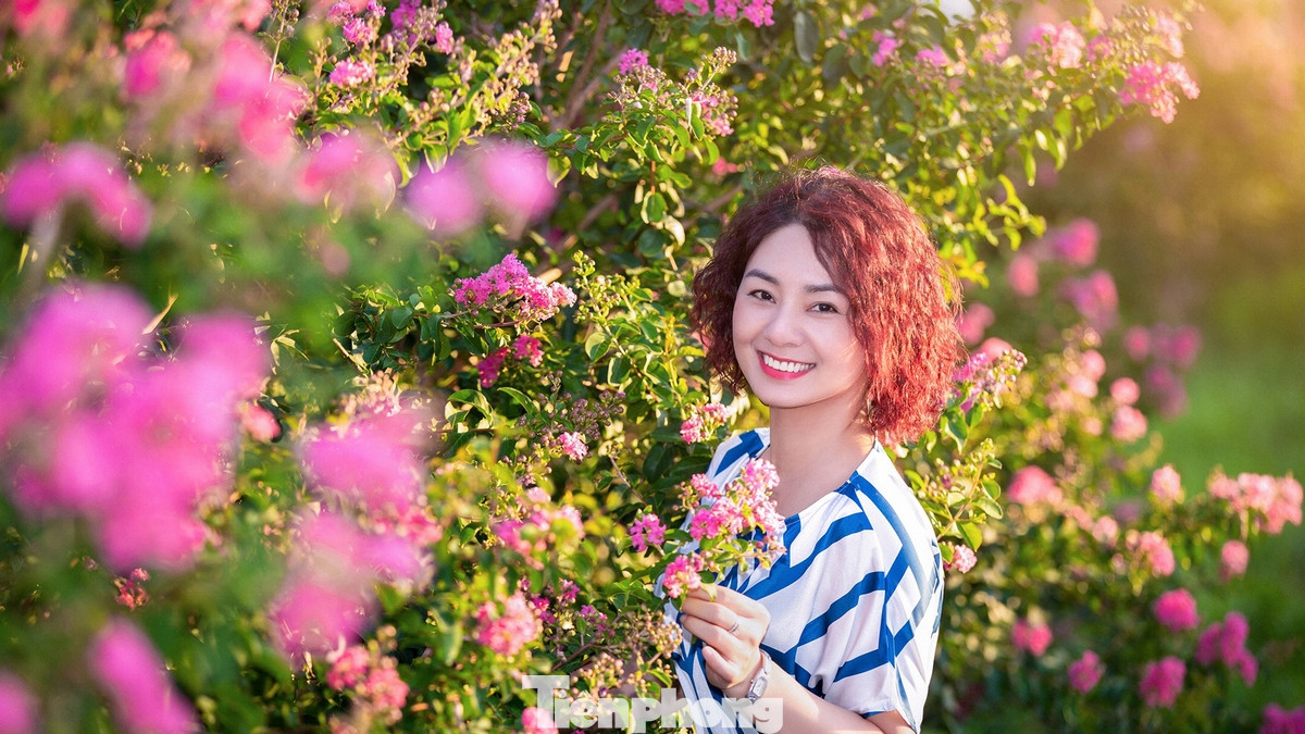 Các bạn trẻ thích thú chụp ảnh lưu niệm cùng hoa tường vi.