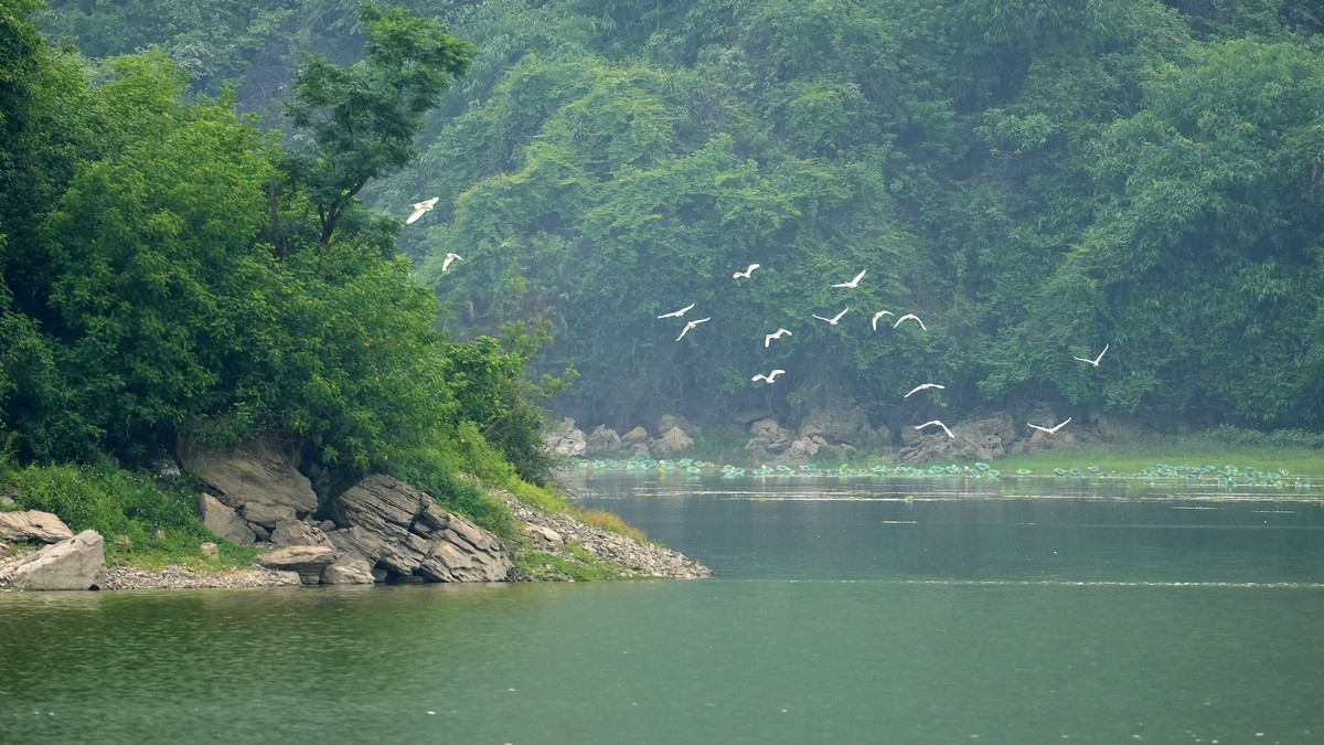 Hình ảnh thanh bình bên Hồ Tuy Lai.