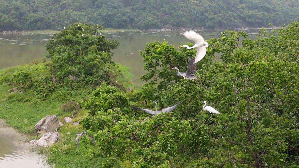 Đã từ lâu, xã Tuy Lai được biết đến là địa phương có tiềm năng phát triển du lịch sinh thái, nghỉ dưỡng của huyện Mỹ Đức với quần thể sinh thái rừng, núi, hồ nước, thung lũng… đa dạng.