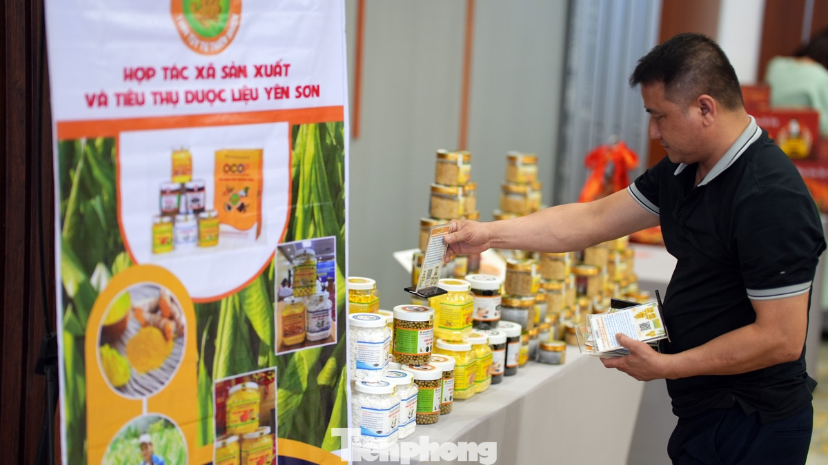 Một số sản phẩm dược liệu và nông nghiệp được giới thiệu tại không gian nơi diễn ra hội thảo.