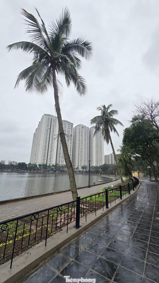 Bên trong công viên, cảnh quan đã thay đổi hoàn toàn, hệ thống đường đi bộ sạch đẹp, uốn lượn ven hồ Linh Đàm được lát lại bằng đá tự nhiên chống trơn trượt. Khu vực bờ kè ven hồ được gia cố chắc chắn và dọn dẹp triệt để rác thải.