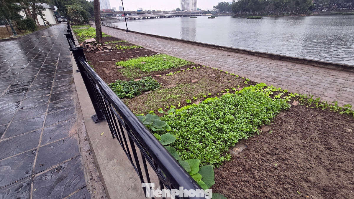 Dọc theo lối đi ven hồ, hiện người dân có thể thong thả dạo bộ, tận hưởng không khí trong lành với phần đường được lát đá sạch sẽ - điều mà trước đây khó lòng thực hiện do lối đi gồ ghề và thiếu ánh sáng.