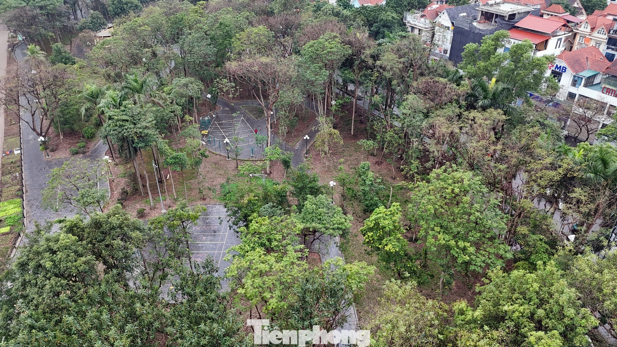 Công viên Bắc Linh Đàm sau cải tạo không chỉ dừng lại ở việc làm đẹp cảnh quan mà còn hướng tới việc trở thành một không gian đa năng, phục vụ nhiều đối tượng khác nhau.